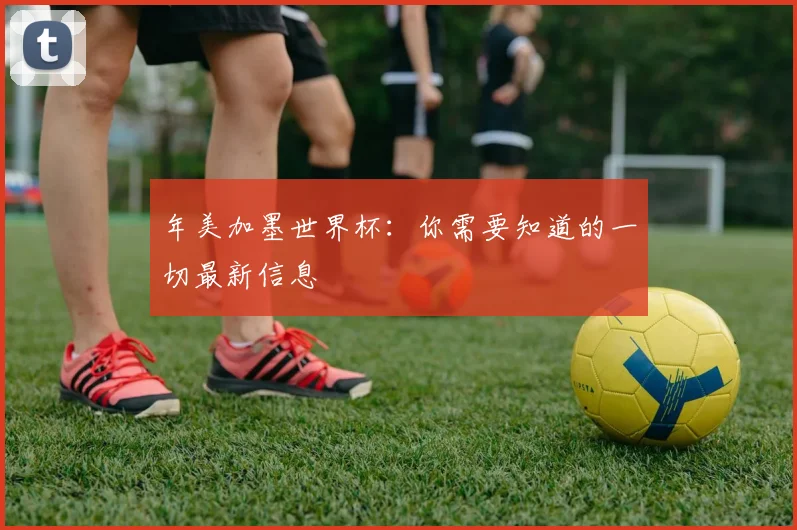 年美加墨世界杯：你需要知道的一切最新信息