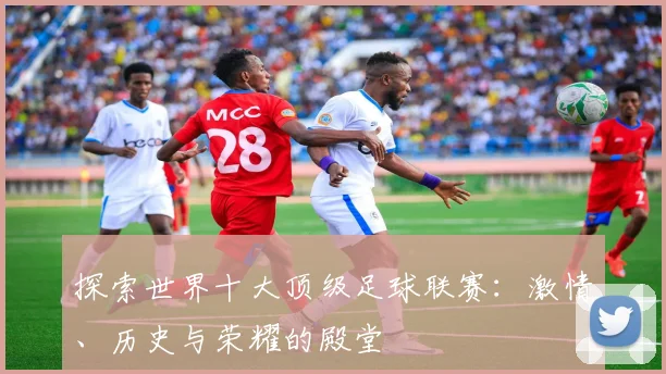 探索世界十大顶级足球联赛：激情、历史与荣耀的殿堂